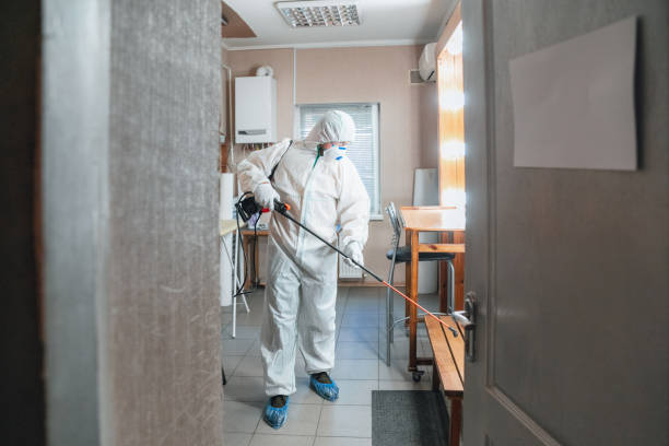 Mold Documentation for Insurance Claims in Hidden Hills, CA